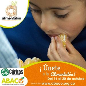 alimenatton-3